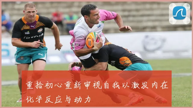 重拾初心重新审视自我以激发内在化学反应与动力