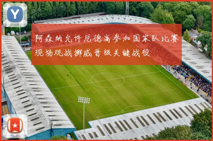 阿森纳允许厄德高参加国家队比赛现场观战挪威晋级关键战役